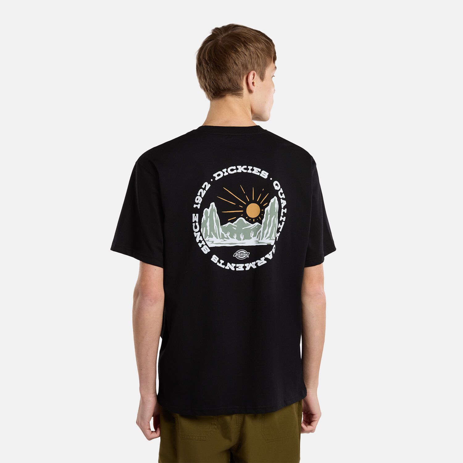 Tシャツ（メンズ/トップス）｜ディッキーズ（Dickies）公式