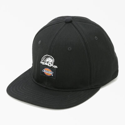 Dickies x LURKING CLASS フラット ビル スナップバック キャップ