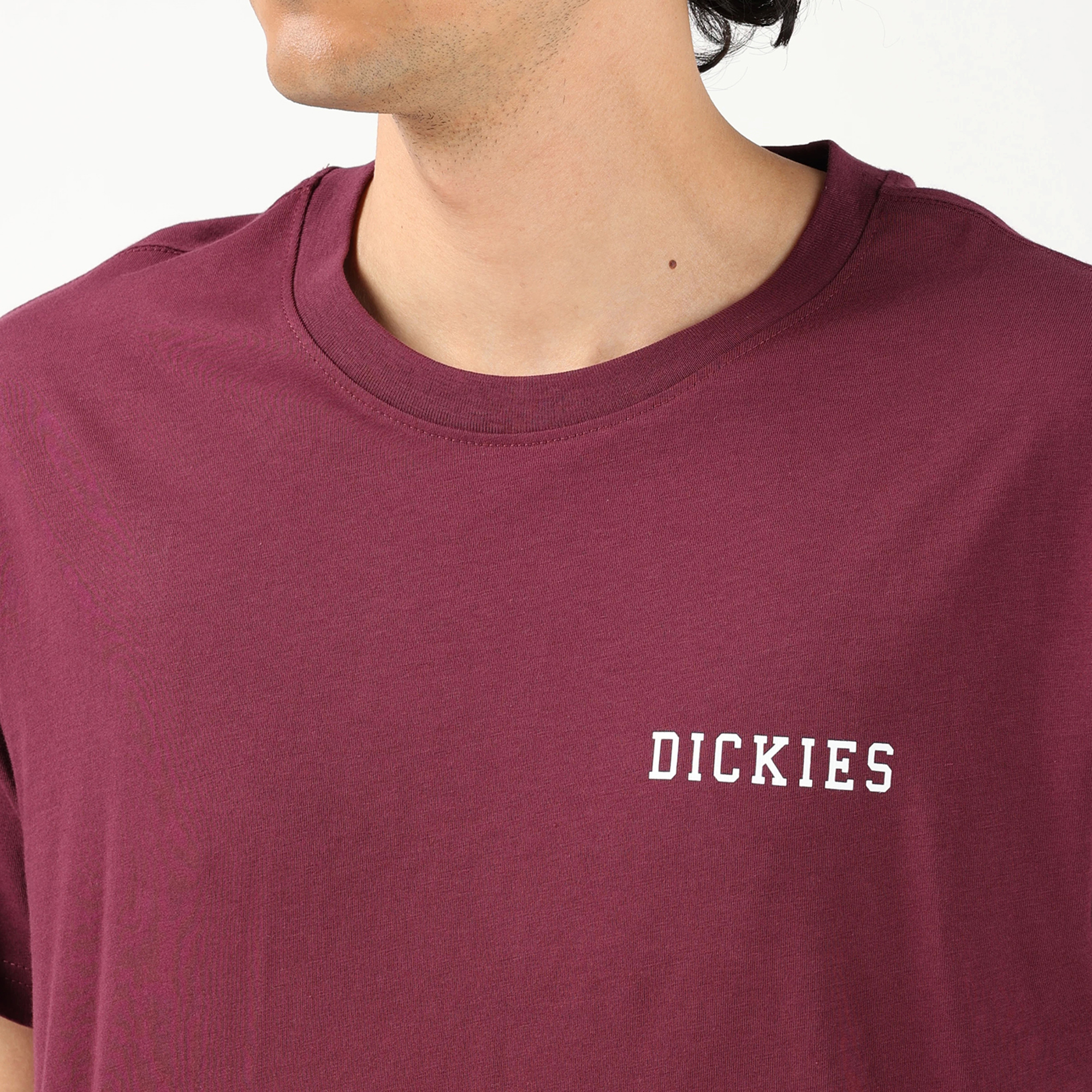 レギュラーフィット Tシャツ "Dickies" image number 6