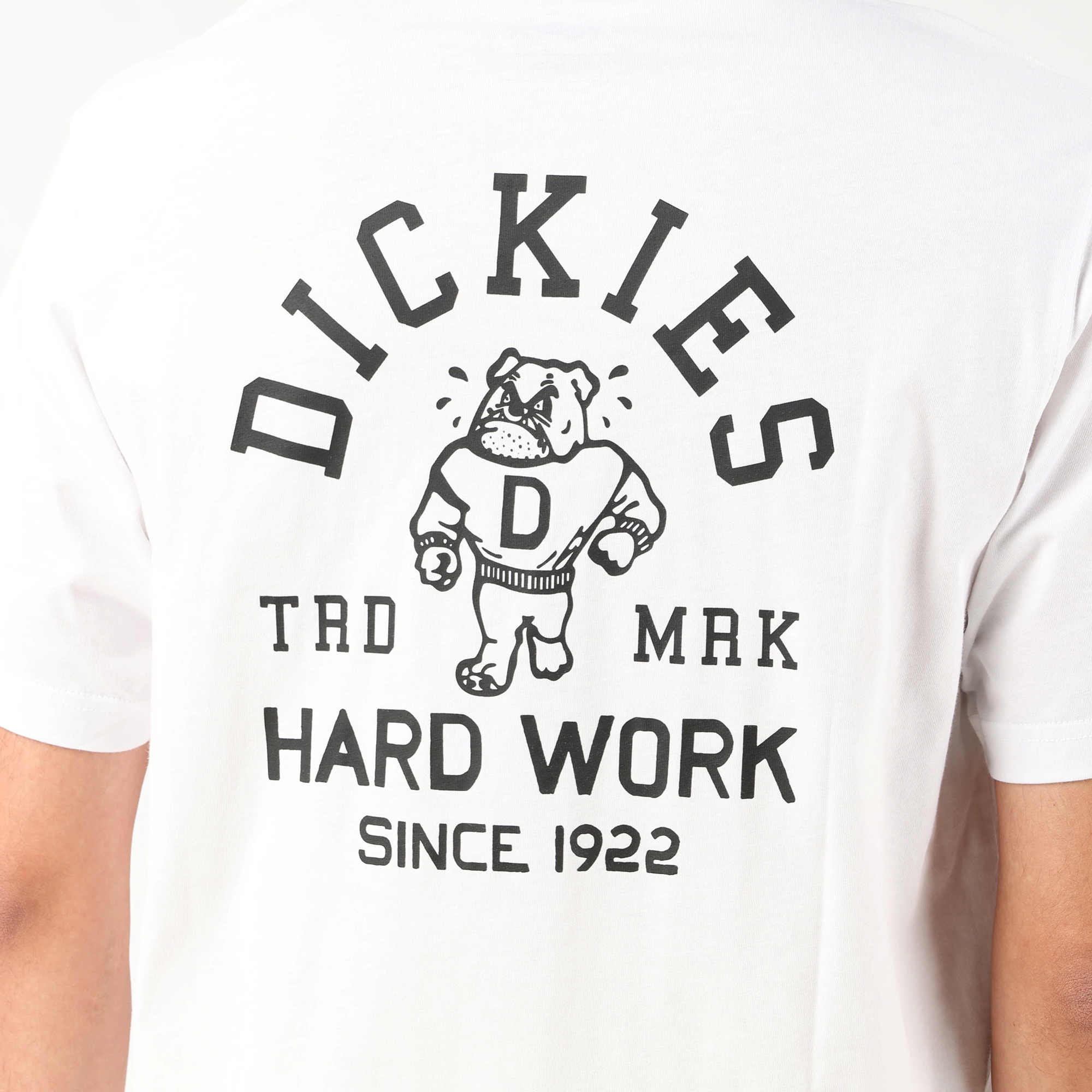 レギュラーフィット Tシャツ "Dickies" image number 7