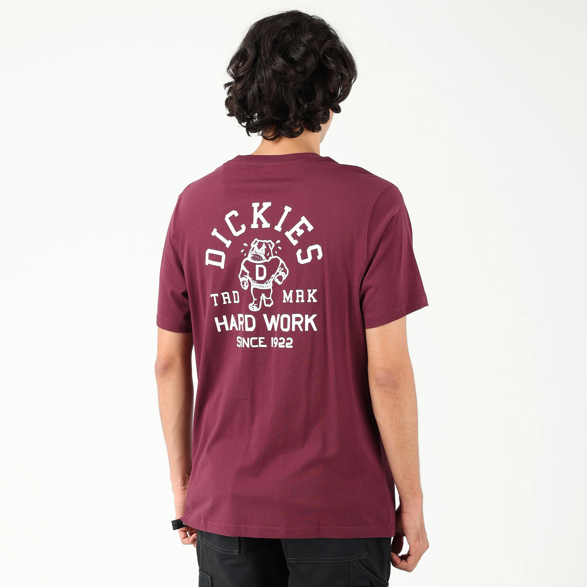 レギュラーフィット Tシャツ "Dickies" image number 4