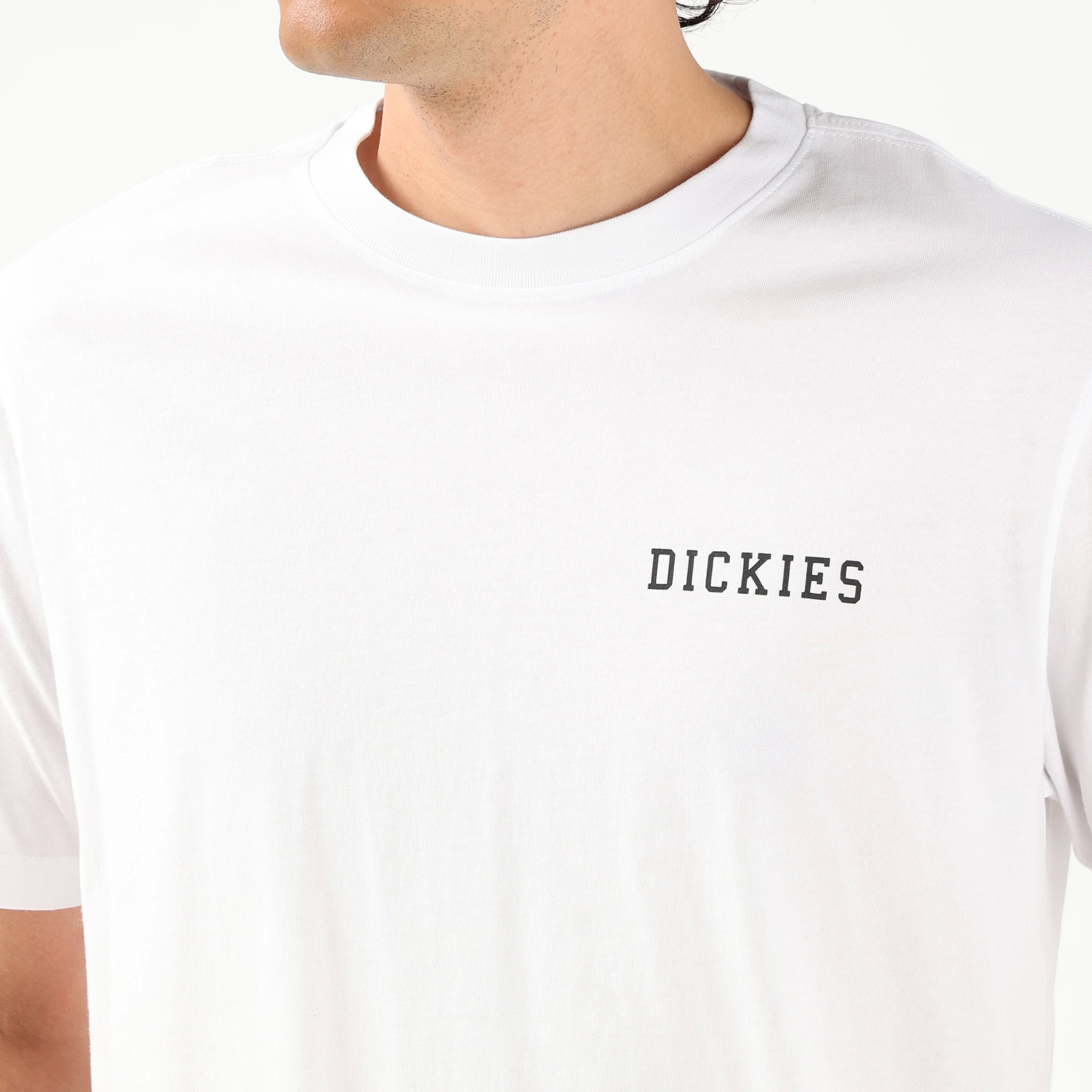 レギュラーフィット Tシャツ "Dickies" image number 6