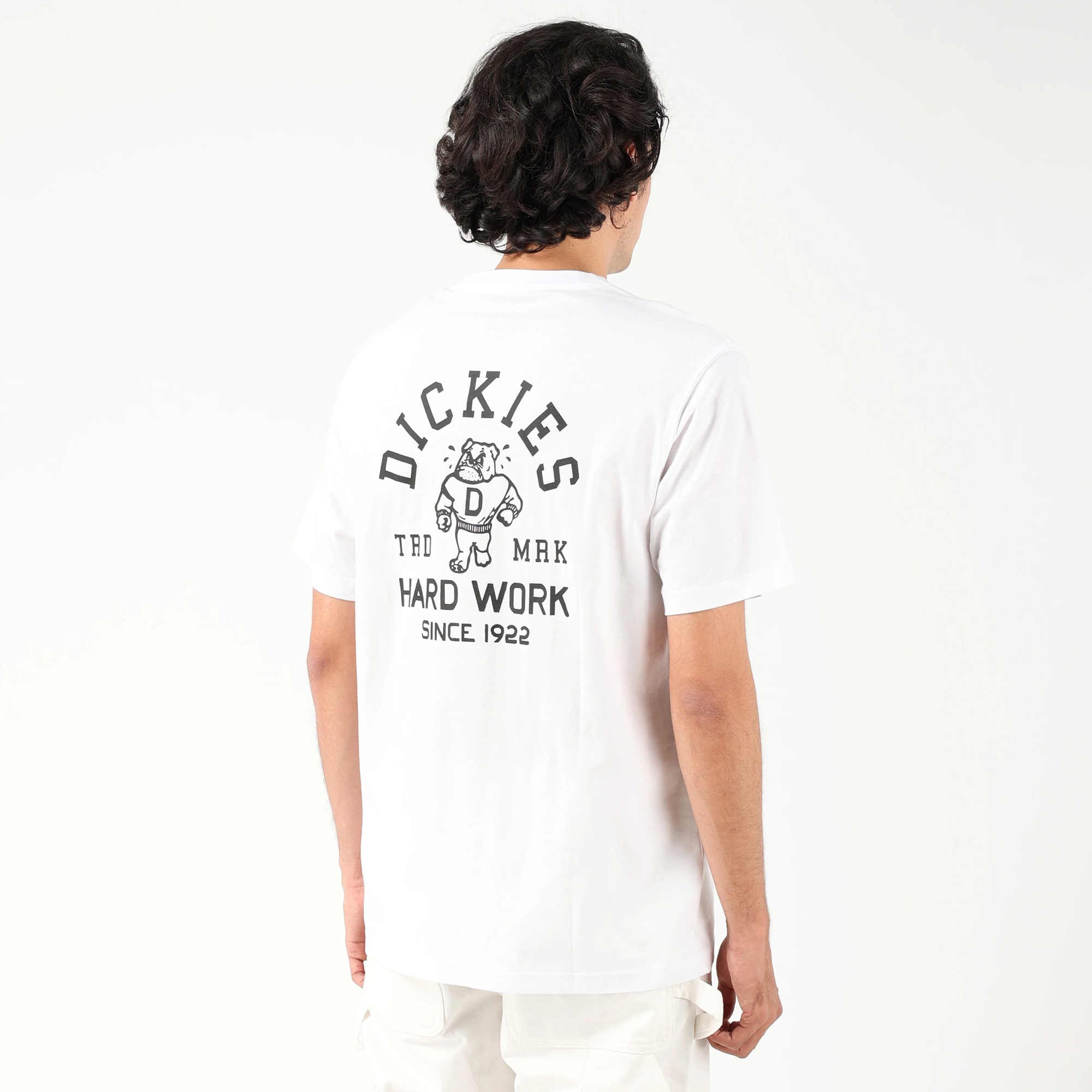 レギュラーフィット Tシャツ "Dickies" image number 4
