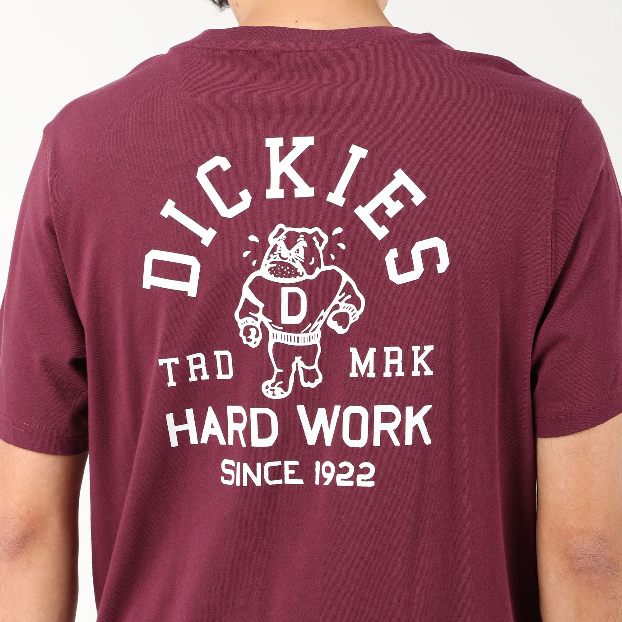 レギュラーフィット Tシャツ "Dickies" image number 7