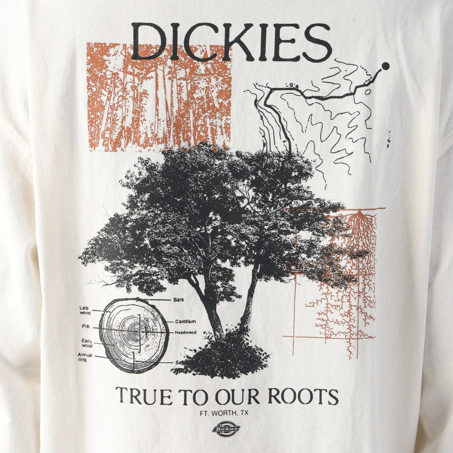 SS24 HERITAGE OUTDOOR COLLECTION シングルジャージー ケンブリッジ L/S Tシャツ レギュラーフィット image number 9