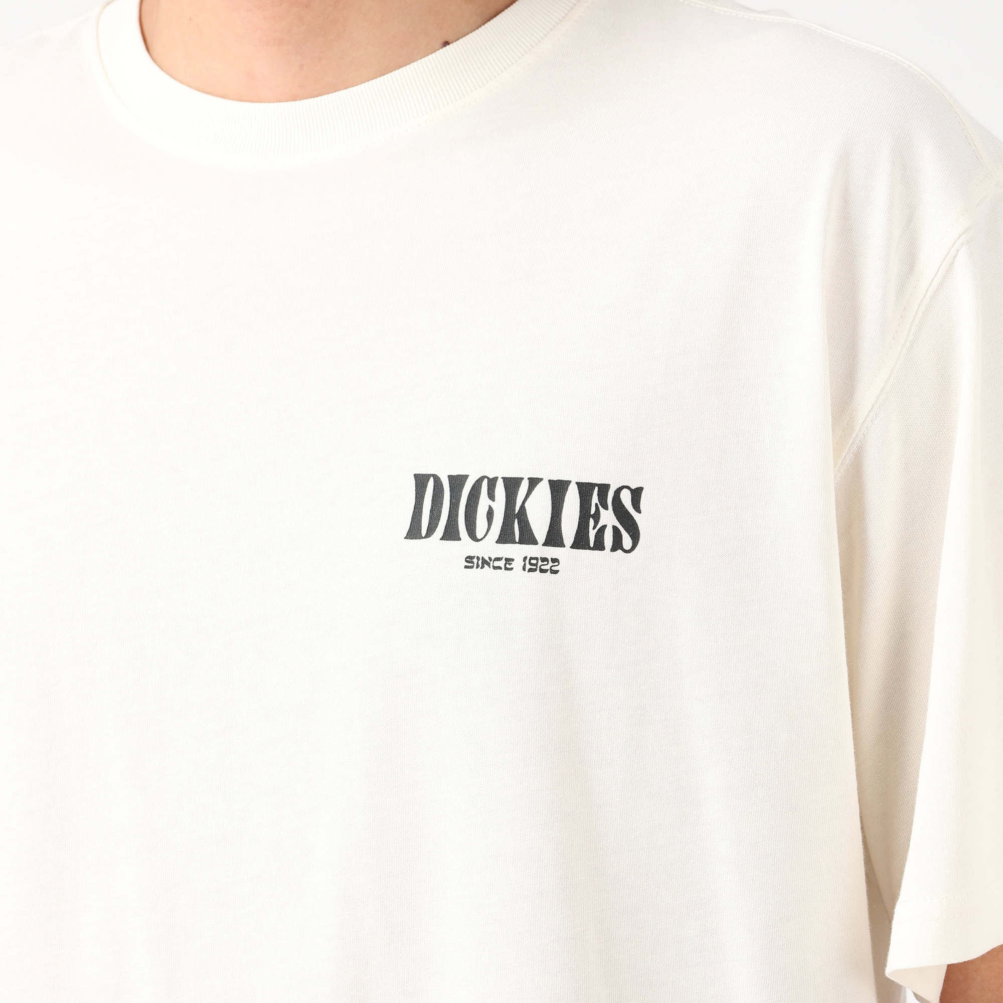グラフィック Tシャツ "Dickies" image number 6