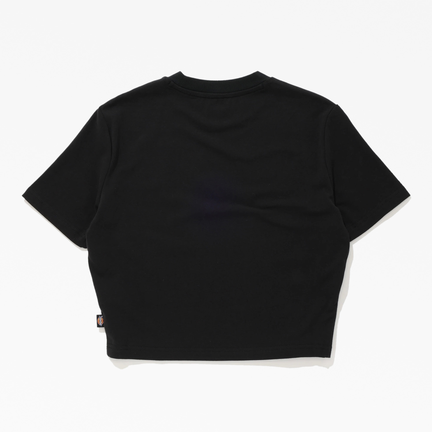 クロップド S/S Tシャツ スリムフィット image number 5