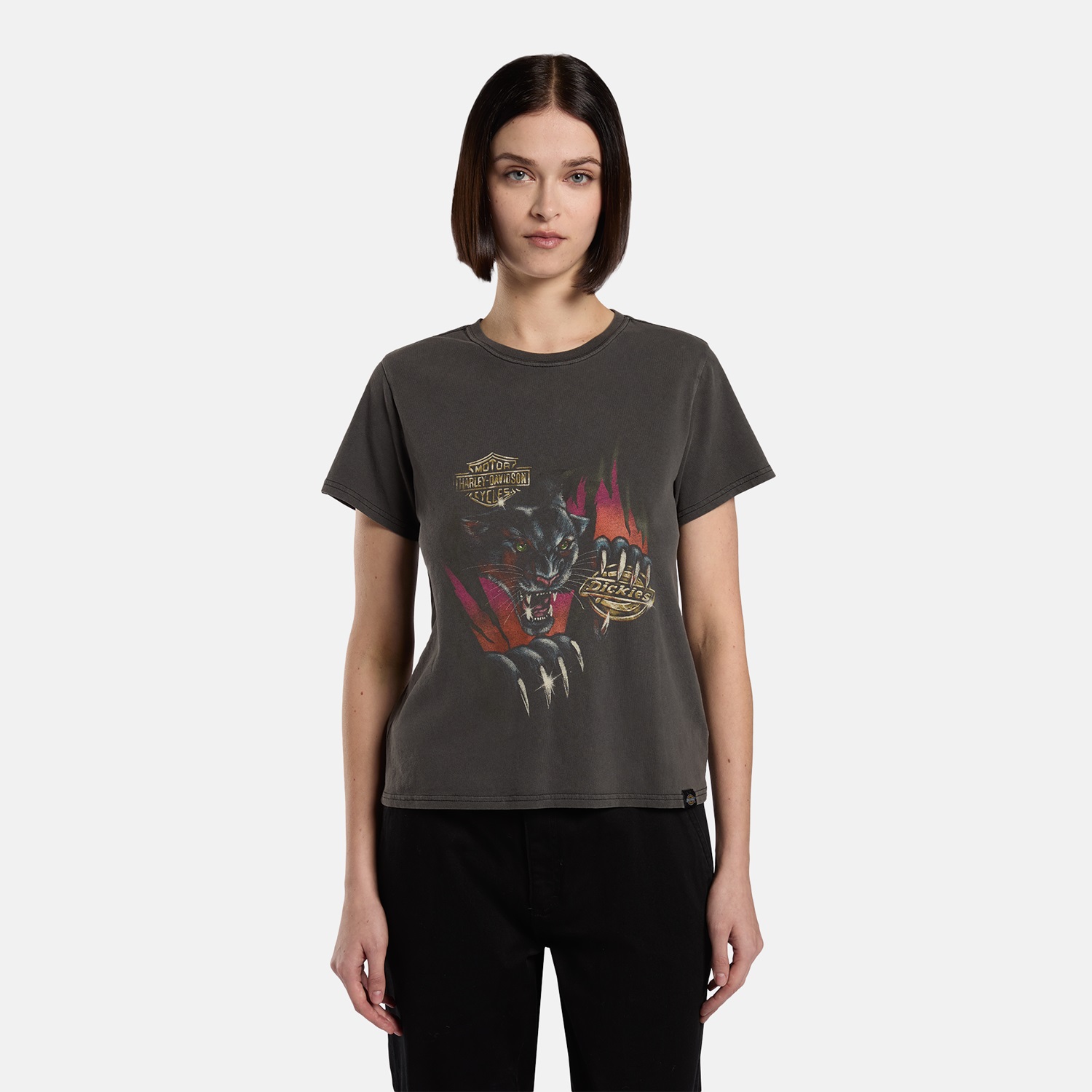 Dickies x Harley Davidson パンサー Tシャツ |ディッキーズ